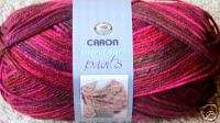 Caron Simply Soft Paints SUNSET acrylic yarn NEW  