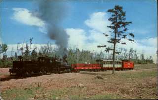 Bald Knob WV Cass Scenic Railroad Postcard  