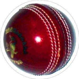  Cricket Ball Keychains Toys & Games