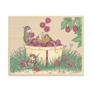  House Mouse Mounted Rubber Stamp 4.25X5.5   Juggling 