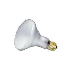     120 Volt   Crystal Lux   Medium Base   Halogen Light Bulb   15669