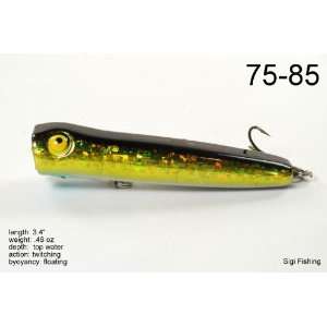 Topwater Chugger/Popper Fishing Lure for Bass & Trout with 