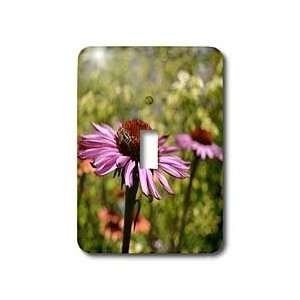 Patricia Sanders Flowers   Natures Expression of an Echinacea with Bee 