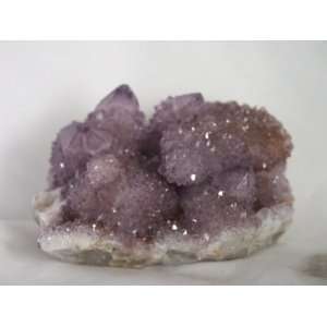 Very Rare Amethyst/Citrine Cactus Spirit Quartz Crystal Cluster, 8.17 