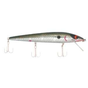  Smithwick Lures Suspending Limited Rogue Fishing Lure (4 1 