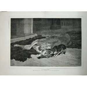   1875 Charlton Fine Art Dead Dog Puppy Pets Animals Rug