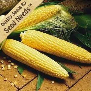  260 Seeds, Sweet Corn Miracle (Zea mays) Seeds By Seed 