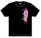 Class of 2013 T Shirt, Senior 2013, Grunge 2013, New, Personalize 