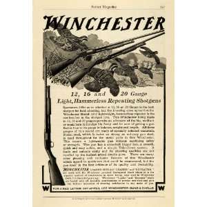  1915 Ad Winchester Hammerless Repeating Shotguns Hunting 