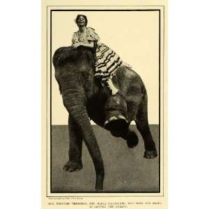   Taliaferro Riding Elephant   Original Halftone Print