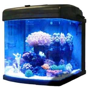  JBJ 28 Gallon Nano Cube Aquarium with LED Lighting Pet 
