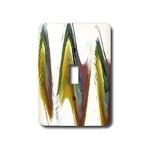 Florene Contemporary Abstract   Fantasy Dance   Light Switch Covers 
