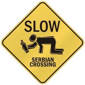     SLOW  SERBIAN CROSSING  SERBIA AND MONTENEGRO