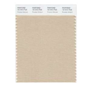  PANTONE SMART 13 1012X Color Swatch Card, Frosted Almond 