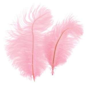  Zucker Feather Products B802 LP Ostrich Feathers Toys 