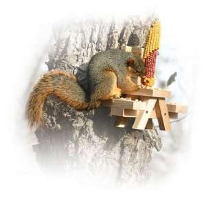  Picnic Bench Corn Squirrel Feeder 
