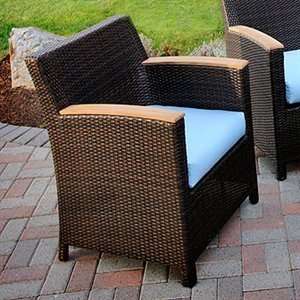   Potter GAR388 Teak Wicker Leisure Outdoor Lounge Chair