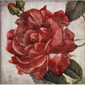  Rose Flower   Poster by Stephanie Marrott (24x24)