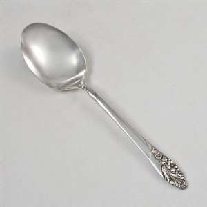  Evening Star by Community, Silverplate Sugar Spoon 