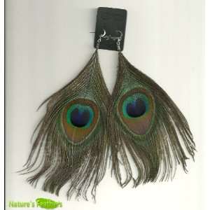  Natural Peacock Feather Fashion Earrings Beauty