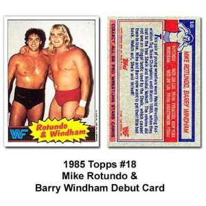  Topps Mike Rotundo and Barry Windham WWE Debut Card 