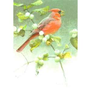 Robert Bateman   Cardinal and Snowberries 