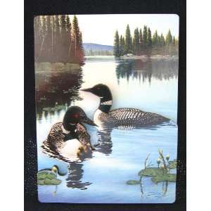  Magnet, New Light Loons   3D Magnet, Perfect Gift/Décor 
