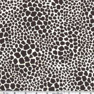 45 Wide Laurel Burch Secret Jungle Leopard Spots White Fabric By The 