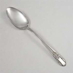  Reflection by Rogers & Bros., Silverplate Tablespoon 