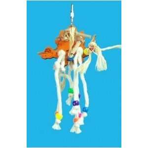  Zoo Max DUS242WXS Dino 6 in X Small Wood Bird Toy Assorted 