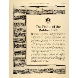  1916 Ad Rubber Tree Products Bristol Rhode Island WWI 