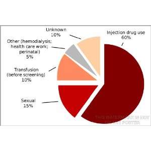  Hepatitis C Infection by Source   24x36 Poster (Image 