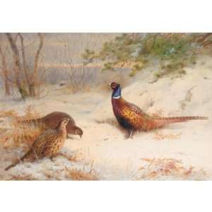  FRAMED oil paintings   Archibald Thorburn   24 x 24 inches 