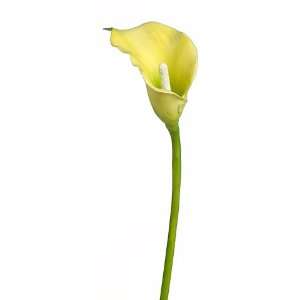  Faux 20 Small Calla Lily Green (Pack of 12) Patio, Lawn 