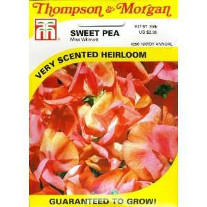  Thompson & Morgan 4290 Sweetpea Miss Wilmott Seed Packet 