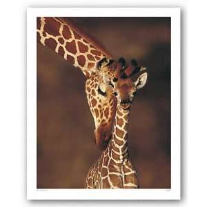 Giraffe Poster Print