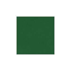  Prism Paper 8.5x11 Mirri Cardstock Emerald Green