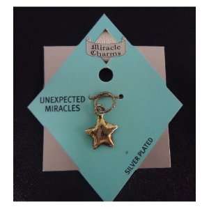  Miracle Charm   Unexpected Miracles 