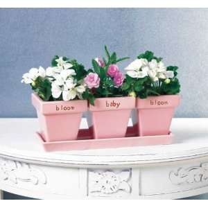 Bloom Baby Bloom Planters with Tray #37741 