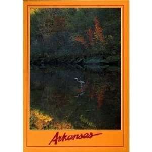  Arkansas Postcard Ar157 Little Red River Sports 