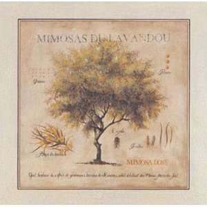  Mimosas du Lavandou by Pascal Cessou 13x13 Kitchen 