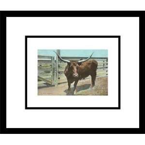  Texas Long Horn Steer, Framed Print by Unknown, 16x14 