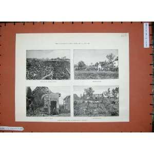    1889 Fire Explosion Antwerp Cartridge Works Houses