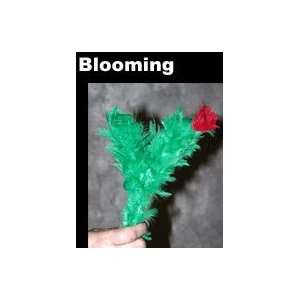  Blooming Blossom, Crazy   Flower / Stage / Magic T Toys & Games