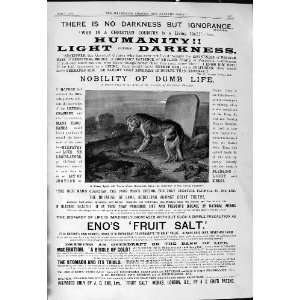   Antique Advertisement EnoS Fruit Salt Works London