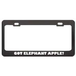 Got Elephant Apple? Eat Drink Food Black Metal License Plate Frame 