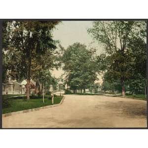   Boulevard,blvd,residential streets,Detroit Photographic Co,c1898 Home