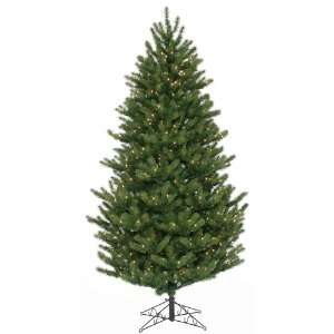  7.5 x 55 Nursery Cut Spruce Tree With 550 Clear Lights 