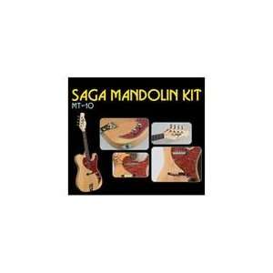  Custom Built MT 10J Electric Mandolin Kit from SAGA 