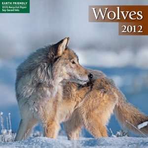  Wolves 2012 Mini Wall Calendar